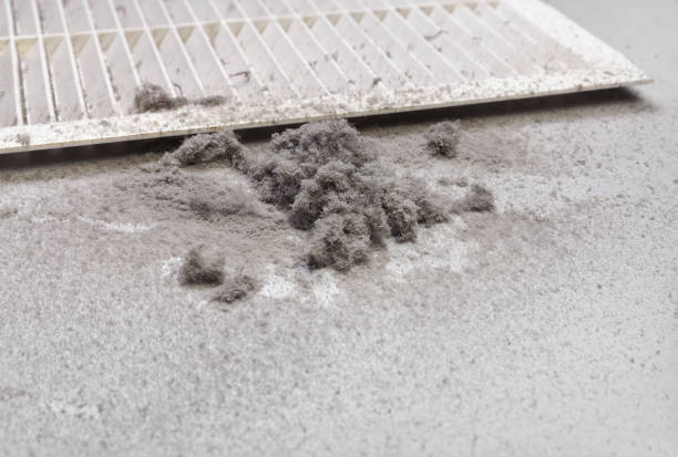 Best Air Duct Cleaning Near Me  in Caldwell, OH