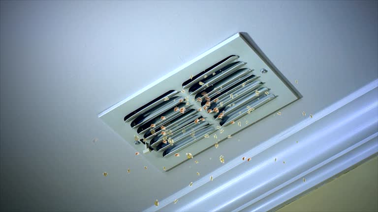 Best Air Duct Cleaning Near Me  in Caldwell, OH