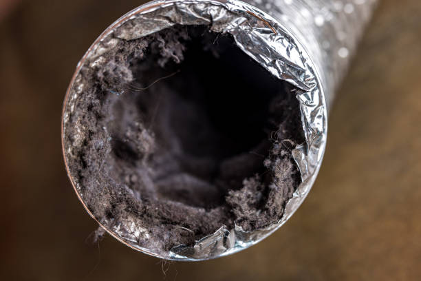 Best Air Vent Cleaning Services  in Caldwell, OH