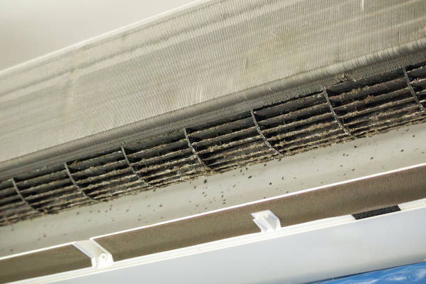 Best Dryer Vent Cleaning Services  in Caldwell, OH